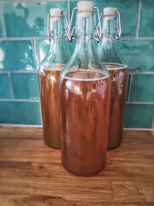 Kombucha - Creation of Life, Medicine Woman & Original Life Water — A QHHT Session by Laron