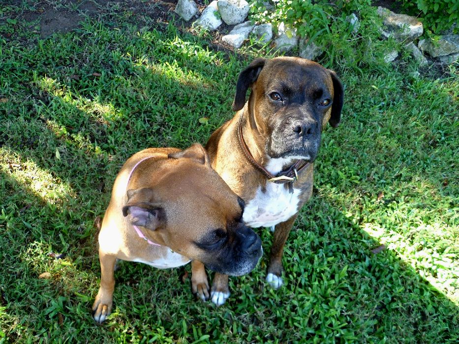 Pepper and Chance (right) - Cloud Cities and the Energetic Punctures of War