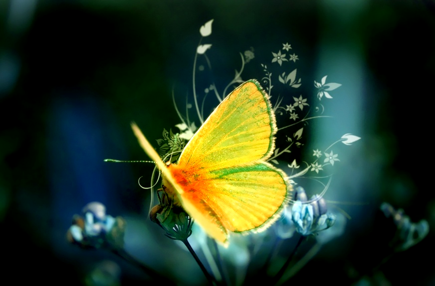 Source - New Earth - Shift in Consciousness - Volunteers - The Cosmic Journey of Lai Part 6 transients butterfly
